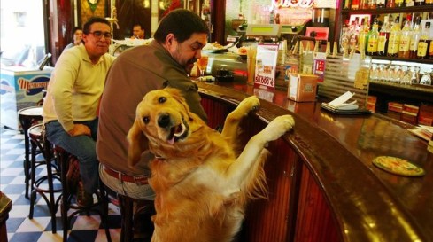 esala4293484-barcelona-2832006-rincon-bcn-bar-jai-160204171910-1454602954130