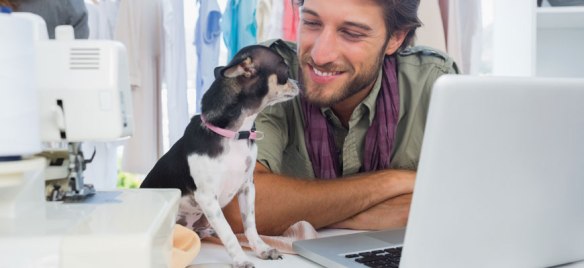 dog-friendly-office-299e5de0